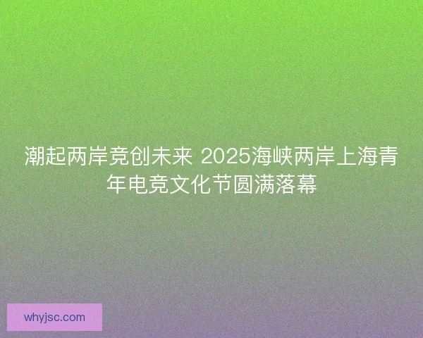 潮起两岸竞创未来 2025海峡两岸上海青年电竞文化节圆满落幕